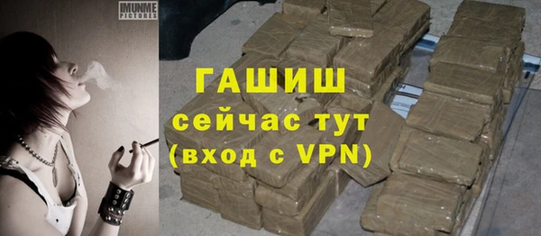 гашик Арсеньев