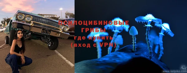бошки Армянск