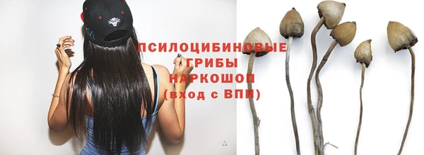 гашик Арсеньев