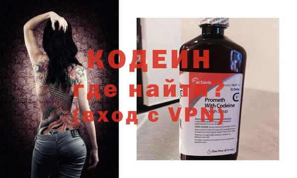 гашик Арсеньев